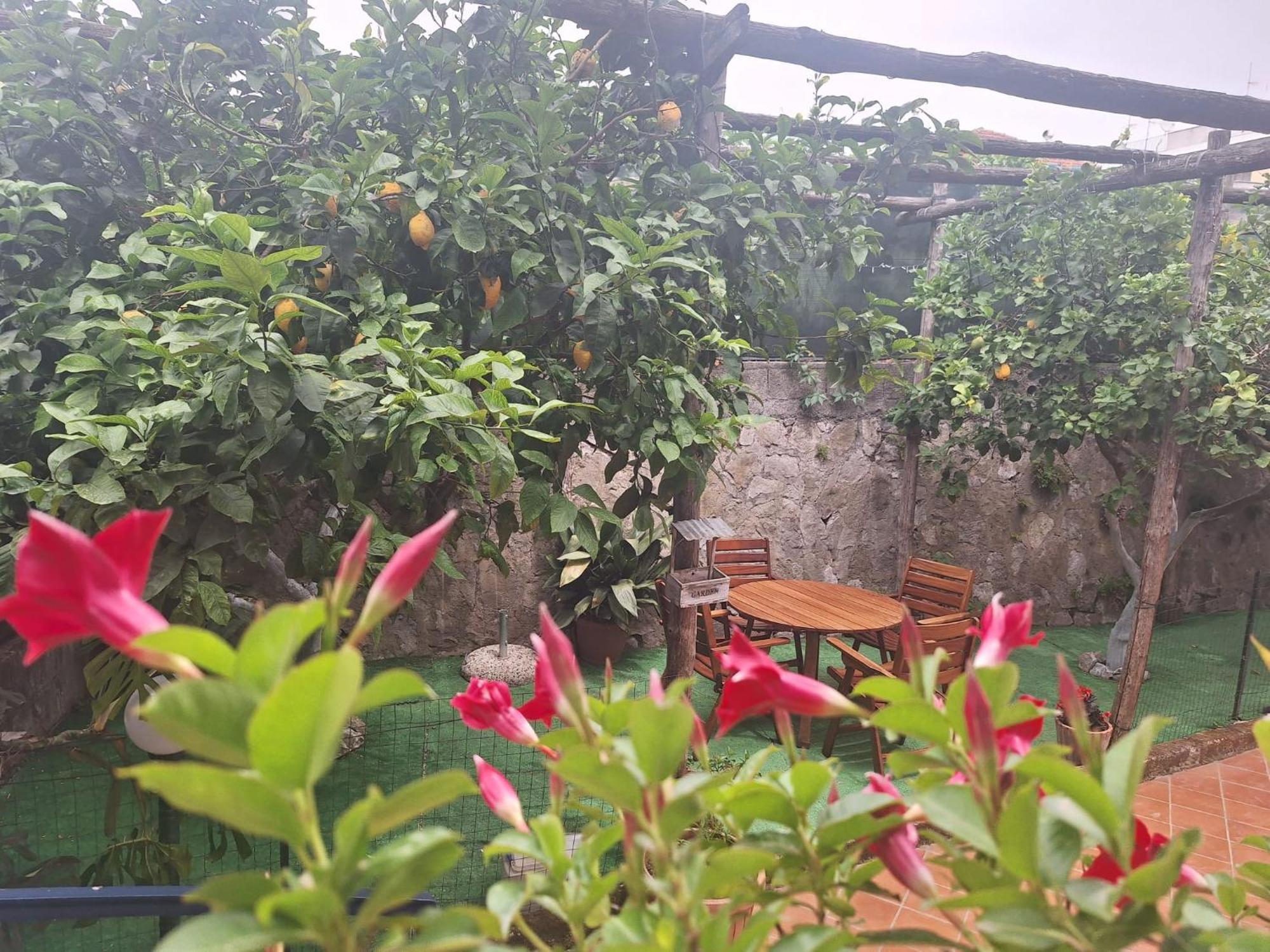 Grazia'S Home Sant'Agnello Esterno foto
